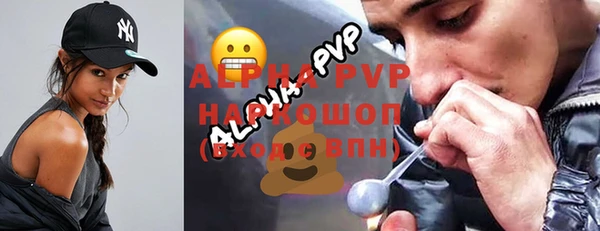 сатива Алзамай